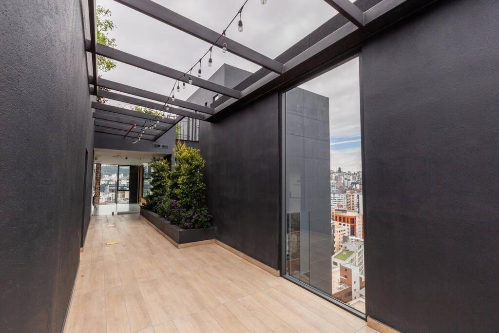 Apartment Xoe Designer